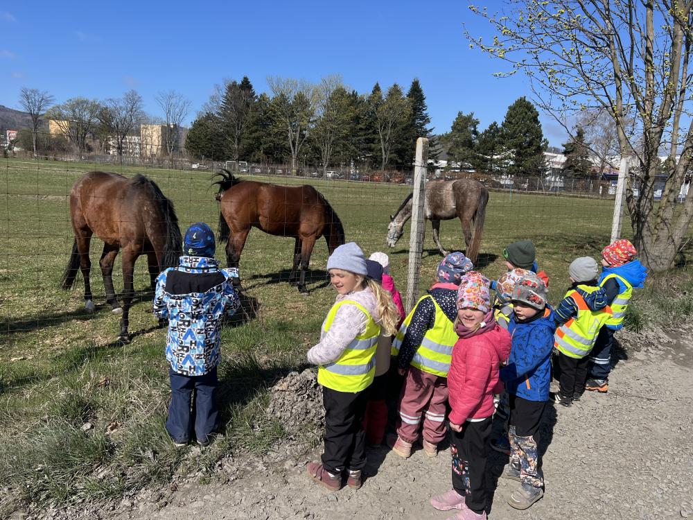 mame-radi-zviratka-717