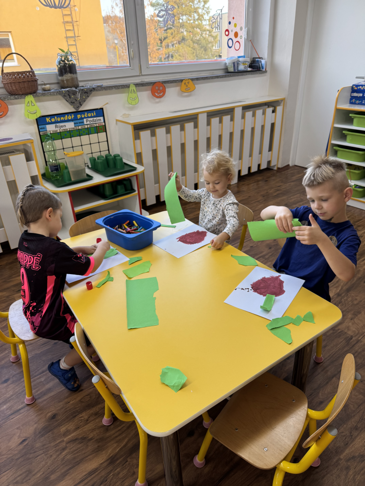 dary-nasich-zahradek-201