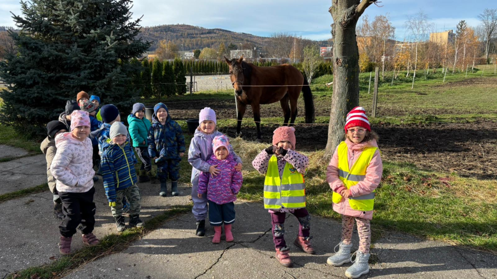 uz-martin-na-bilem-koni-789