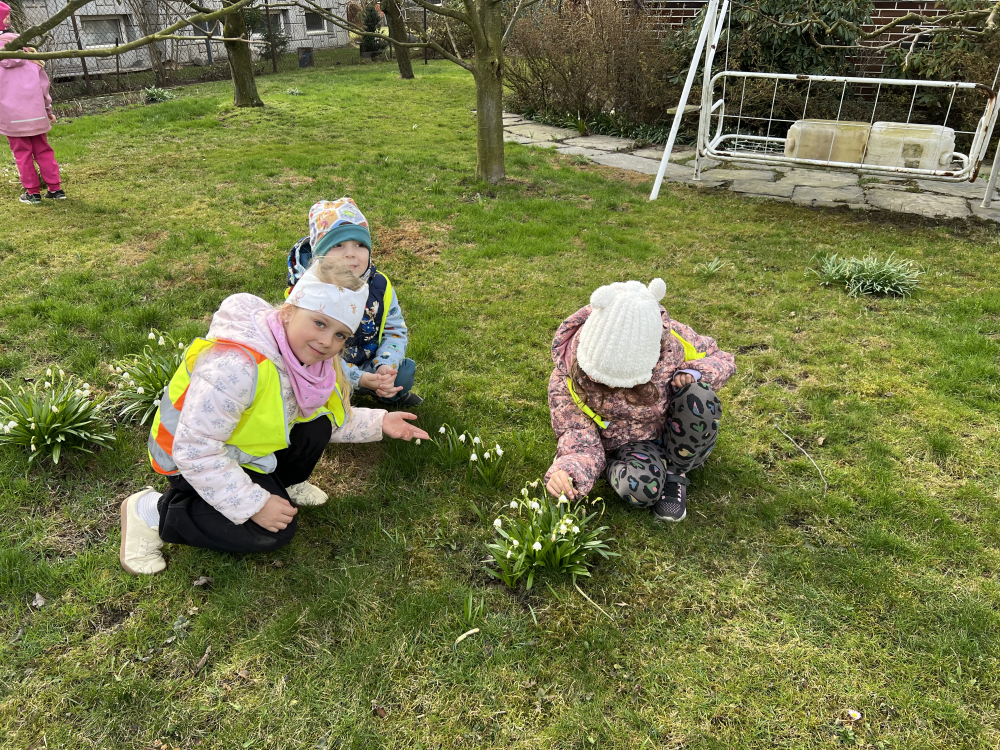 predjari-u-medovnicku
